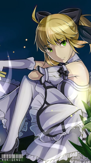 Gothic armor dress cat eared - a detailed drawing free wallpaper for mobile