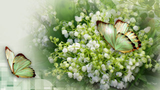 Butterflies flowers checkered background green - douglas robertson bisset free wallpaper