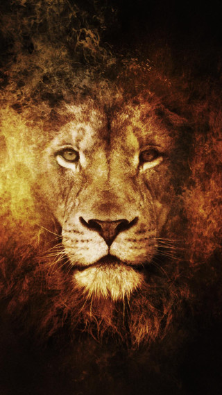 Lion black yellow red head - a lion free wallpaper for mobile