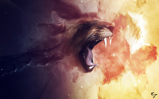 Lion roaring teeth space stars 2 - its tooth free wallpaper