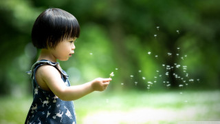 Little girl dandelion park blurry - a little girl free wallpaper for desktop