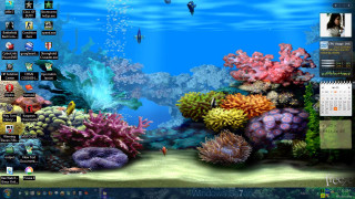 Desktop colorful corals fish water 2 - bob ross free wallpaper for desktop
