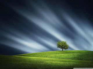 Lone tree green hill night - a green field below free wallpaper for desktop