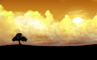 Lone tree field sunset clouds 13 - a sunset in the background free wallpaper for desktop