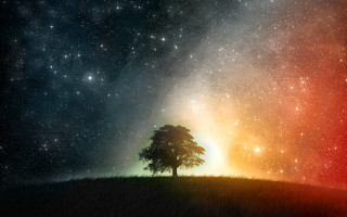 Lone tree hill night sky - the horizon free wallpaper for desktop