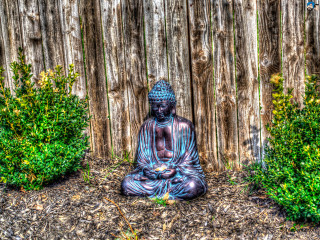 Buddha garden fence shrubbery cityscape - a buddha statue free wallpaper
