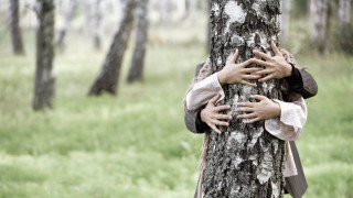 Person hugging tree forest hands - ecological art free wallpaper