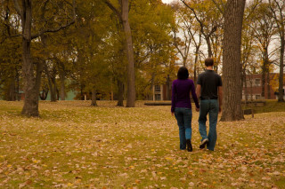 Man woman walking autumn park - the ground and trees free wallpaper