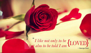 Red rose white sheet quote 2 - e. william gollings free wallpaper
