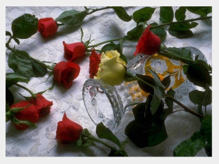 Yellow rose glass vase red - a glass vase free wallpaper