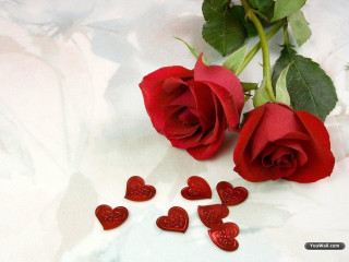 Red roses table hearts romantic 2 - a rose free wallpaper