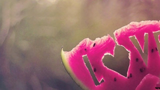 Pink flower love word middle - the word love free wallpaper