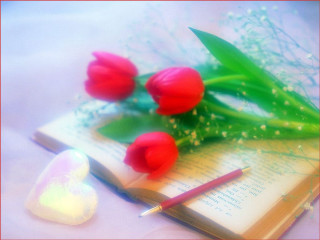 Book pen flowers heart table - romantic free wallpaper