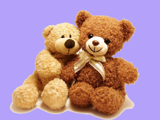 Teddy bears purple background white - andries both free wallpaper