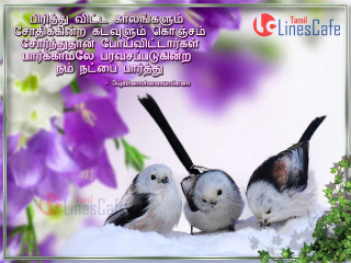 Three birds snow covered ground - three bird free wallpaper