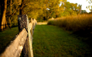 Wooden fence grassy field trees - folk art free wallpaper
