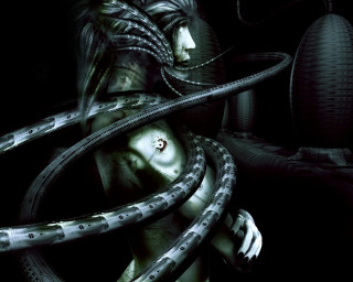 Woman snake neck dark room - a snake free wallpaper