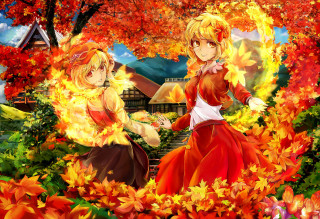 Anime girls field leaves flowers - a field of leaves free wallpaper
