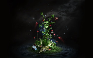 Green plant flower water sky - top of a body free wallpaper for desktop