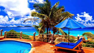 Deck pool blue umbrella palm - a deck free wallpaper