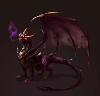 Purple dragon black tail purple - a black tail free wallpaper