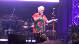 Man stage microphone holding standing - breyten breytenbach free wallpaper