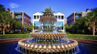 Fountain pineapple building trees background - a fountain free wallpaper for desktop