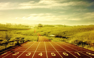 Lush green field sunny track - a sky background and sun free wallpaper