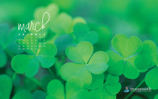 Calendar shamrocks march 2013 green - elaine duillo free wallpaper for desktop
