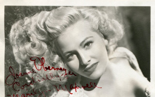 Woman large breast posing picture 2 - eileen aldridge free wallpaper