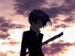 Man sword cloudy sky birds - the background and a sky free wallpaper