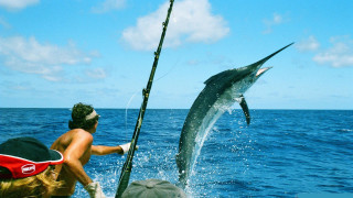 Man fishing large fish ocean - the boat free wallpaper