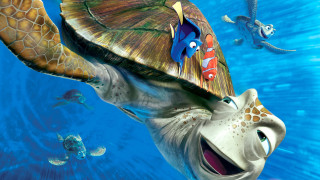 Turtle fish swimming ocean Finding - fletcher martin free wallpaper