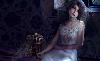 Woman white dress bird cage 2 - a birdcage free wallpaper