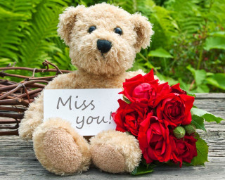 Teddy bear miss you bouquet - a bouquet of flowers in front free wallpaper