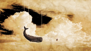 Whale floating kite clouds bird - surrealistic free wallpaper