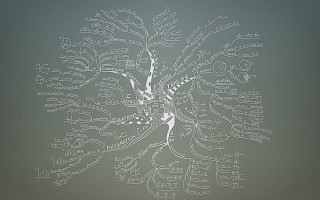 Tree branches leaves drawing art - complexity free wallpaper