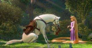 Woman dress horse forest man - a horse in a forest free wallpaper