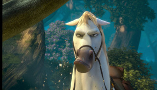 Horse nose ring forest trees - a horse free wallpaper for desktop