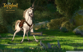 White horse saddle running forest - a white horse free wallpaper