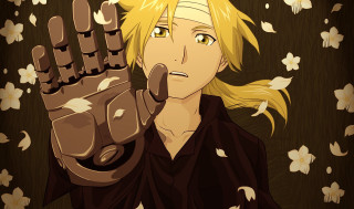 Person holding glove flowered background - a glove free wallpaper