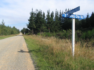 Street sign dirt road forest - a pole free wallpaper for desktop