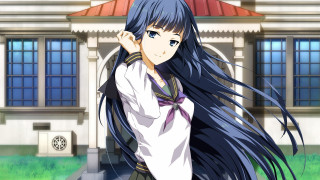 Girl long black hair building - a red roof free wallpaper