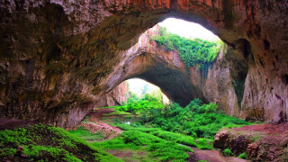 Cave large opening lush forest - a path free wallpaper for desktop