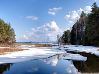 River snow forest trees winter - tree and snow covered ground free wallpaper
