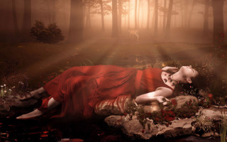 Woman red dress rock forest - a rock in a forest free wallpaper