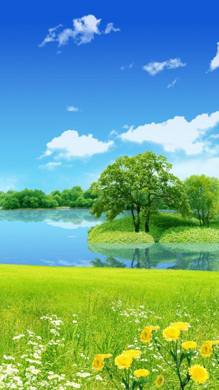 Green field flowers lake blue - free spring wallpaper for mobile