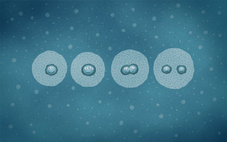 Bubbles floating air blue background 3 - illustration free wallpaper for desktop