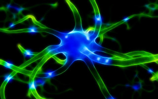 Blue green flower black background 2 - biopunk free wallpaper for desktop