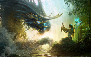 Woman dragon woods light sword - her hand and a sword free wallpaper